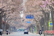克拉玛依共建“花园城市” 北京这场议政会“百花齐放”